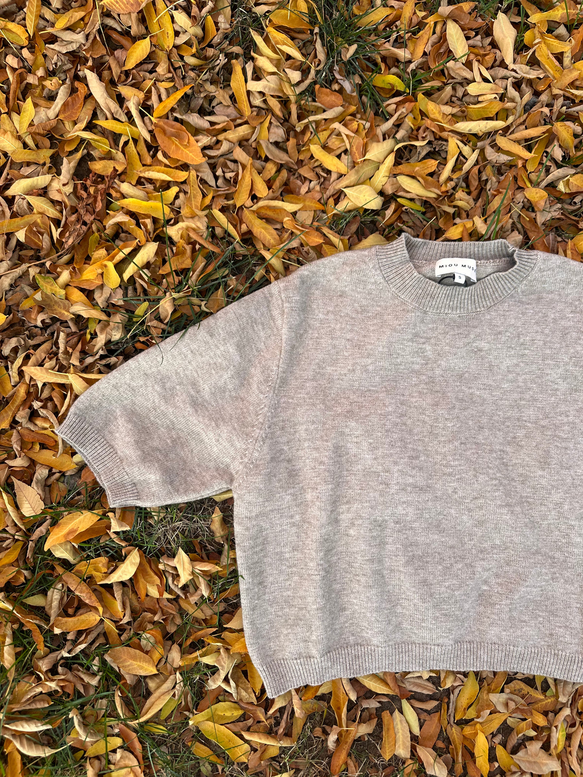The Daily Sweater