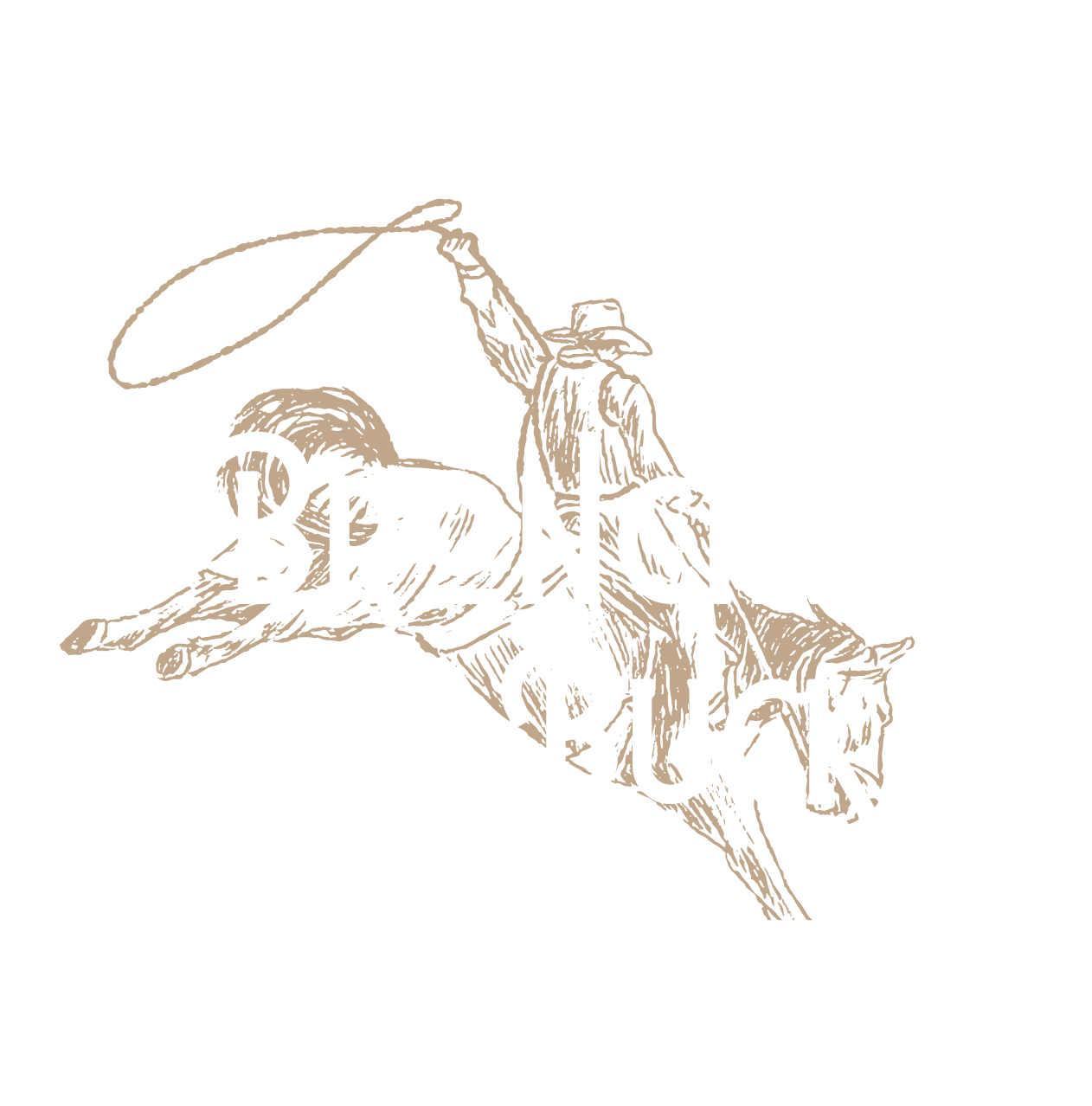 Broncin Bucks